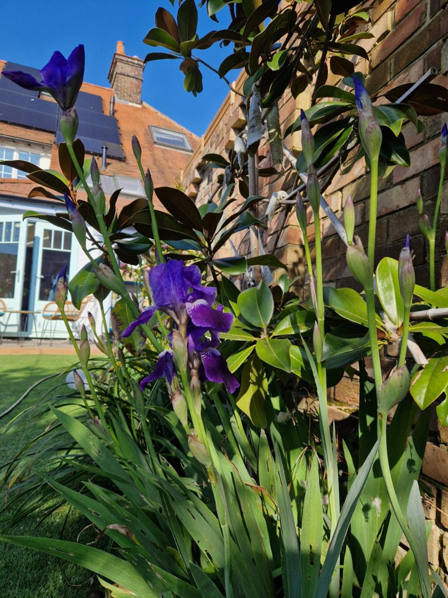Lotus Pod House Homestay Horsell Εξωτερικό φωτογραφία
